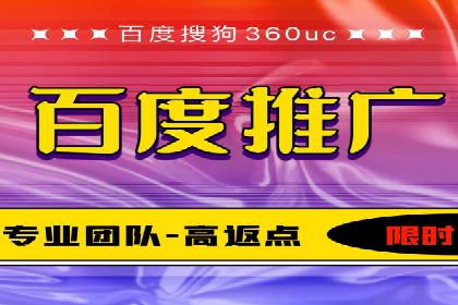 百度品牌专区推广的成效与案例